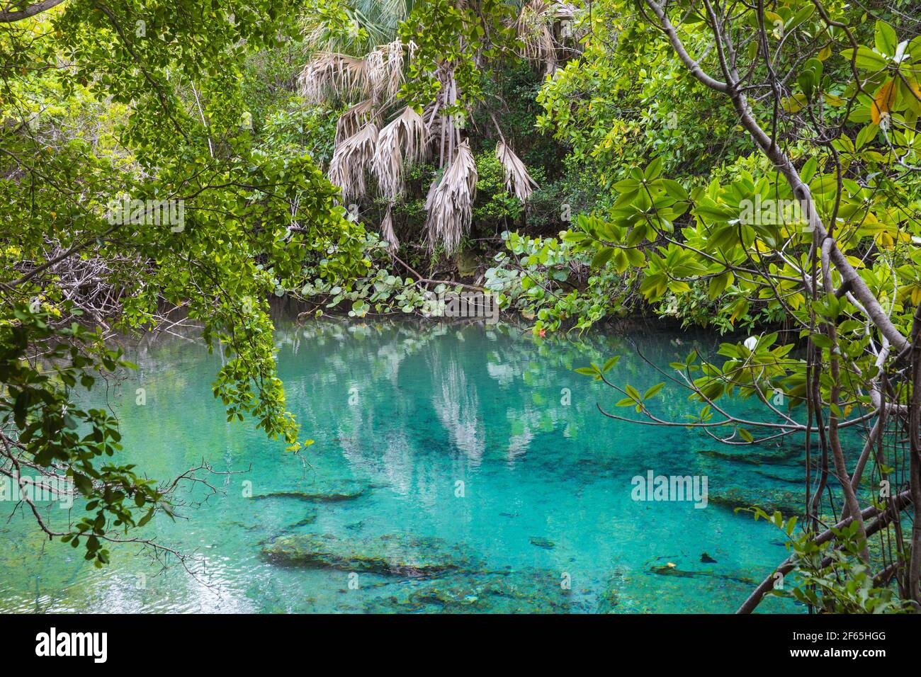 República Dominicana, Punta Cana, Parque Ecológico ojos Indígenas