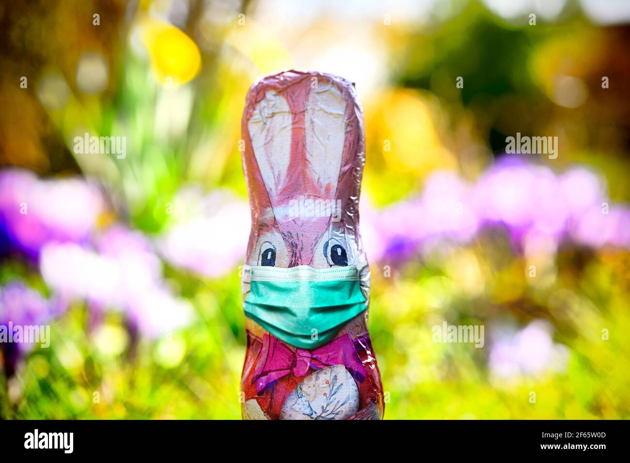 Conejito de Pascua de chocolate con máscara facial Foto de stock