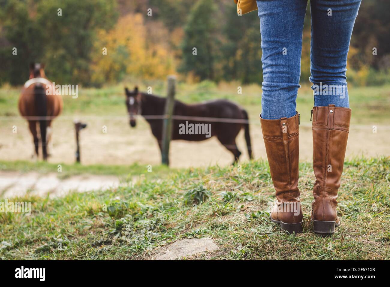 Listo para montar a caballo en paddock. La mujer que usa botas montar y jeans está de pie en el rancho. Actividades de ocio al aire libre Fotografía de stock -