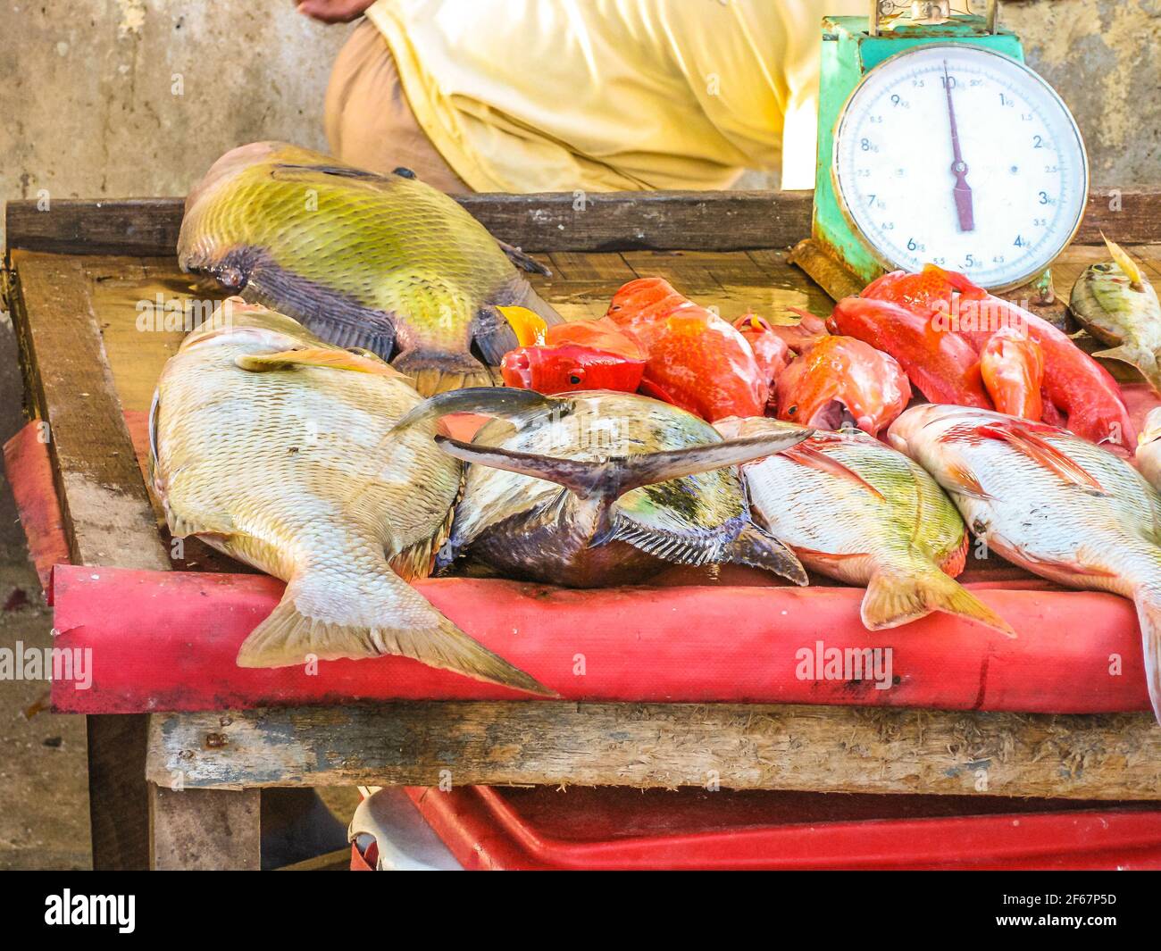 Primer plano de los peces en el mercado de pescado Foto de stock