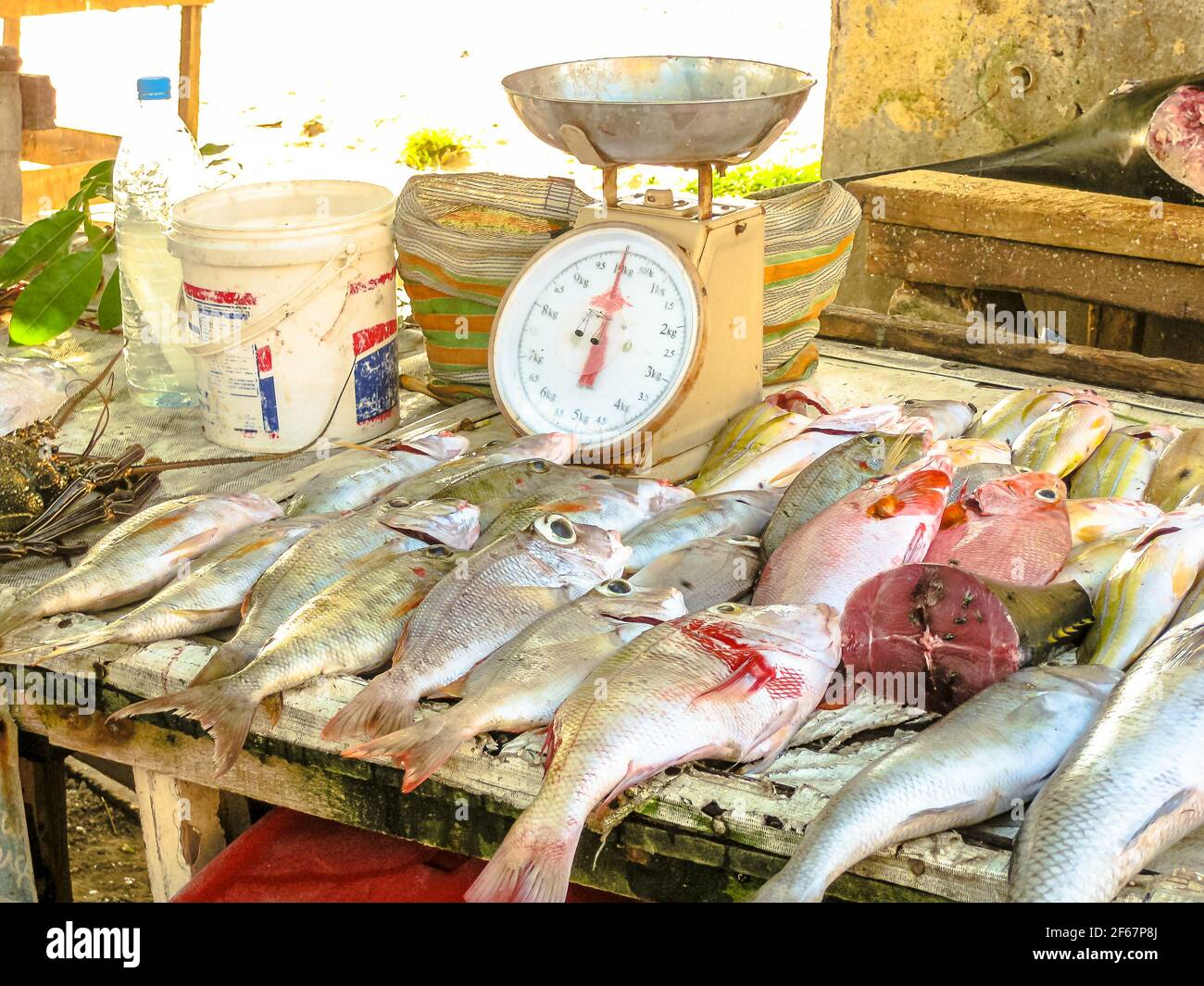 Primer plano de los peces en el mercado de pescado Foto de stock