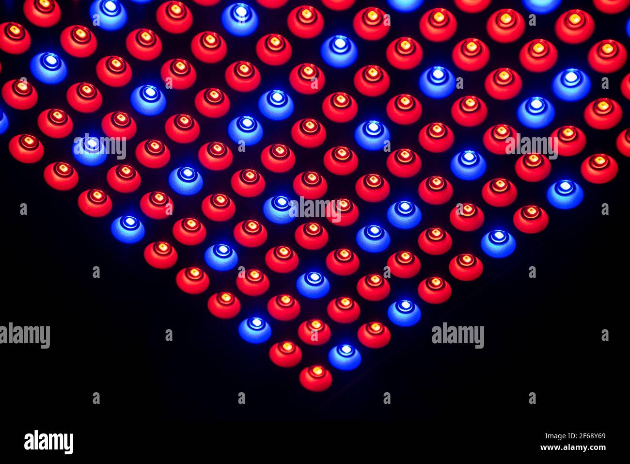 Un fondo abstracto hecho de rojo y azul LED con puntos blancos y espalda negra. Foto de stock