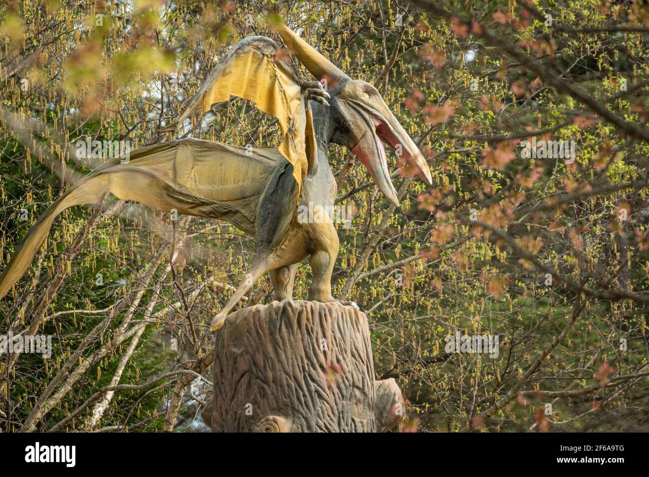 Pterodactyl animado en la exposición Dinotorium and Dinosaur Explore en el Parque Stone Mountain cerca de Atlanta, Georgia. (EE.UU.) Foto de stock