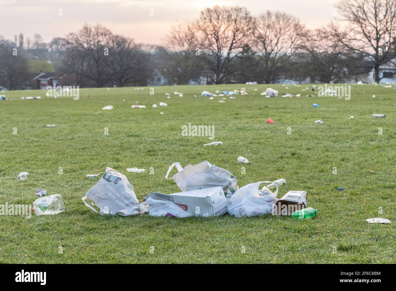 Una lata de Surstromming - delicadeza sueca - un ejemplo de la comida  extraña o extraña que comen las personas de todo el mundo Fotografía de  stock - Alamy