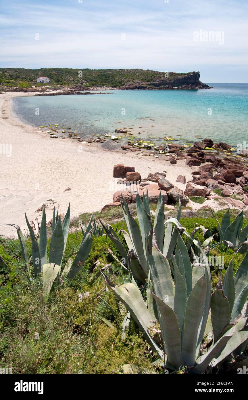 Agua esmeralda de cristal en Cala dello Spalmatore, la playa de la Caletta, Carloforte, Isla de San Pietro, Cerdeña Foto de stock