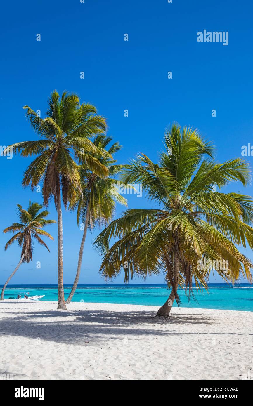 República Dominicana, Punta Cana, Parque Nacional del Este, Isla Saona, Canto de la Playa Foto de stock