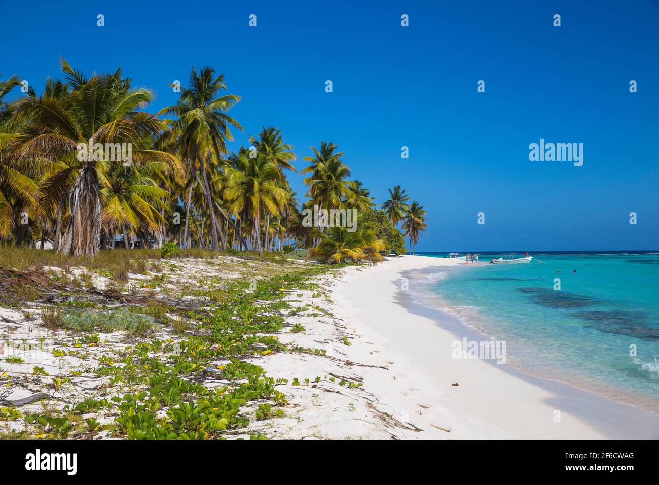 República Dominicana, Punta Cana, Parque Nacional del Este, Isla Saona, Canto de la Playa Foto de stock