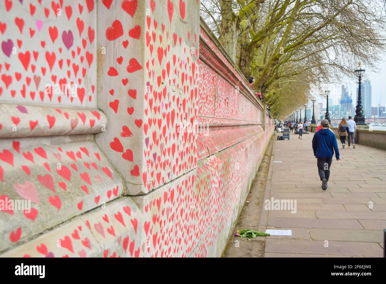 Londres, Reino Unido. 31st de marzo de 2021. Corazones rojos en el Muro Conmemorativo Nacional Covid. Cerca de 150.000 corazones serán pintados por voluntarios, uno por cada víctima Covid-19 en el Reino Unido hasta la fecha, en la pared frente al Hospital St Thomas, frente a las Casas del Parlamento. Foto de stock