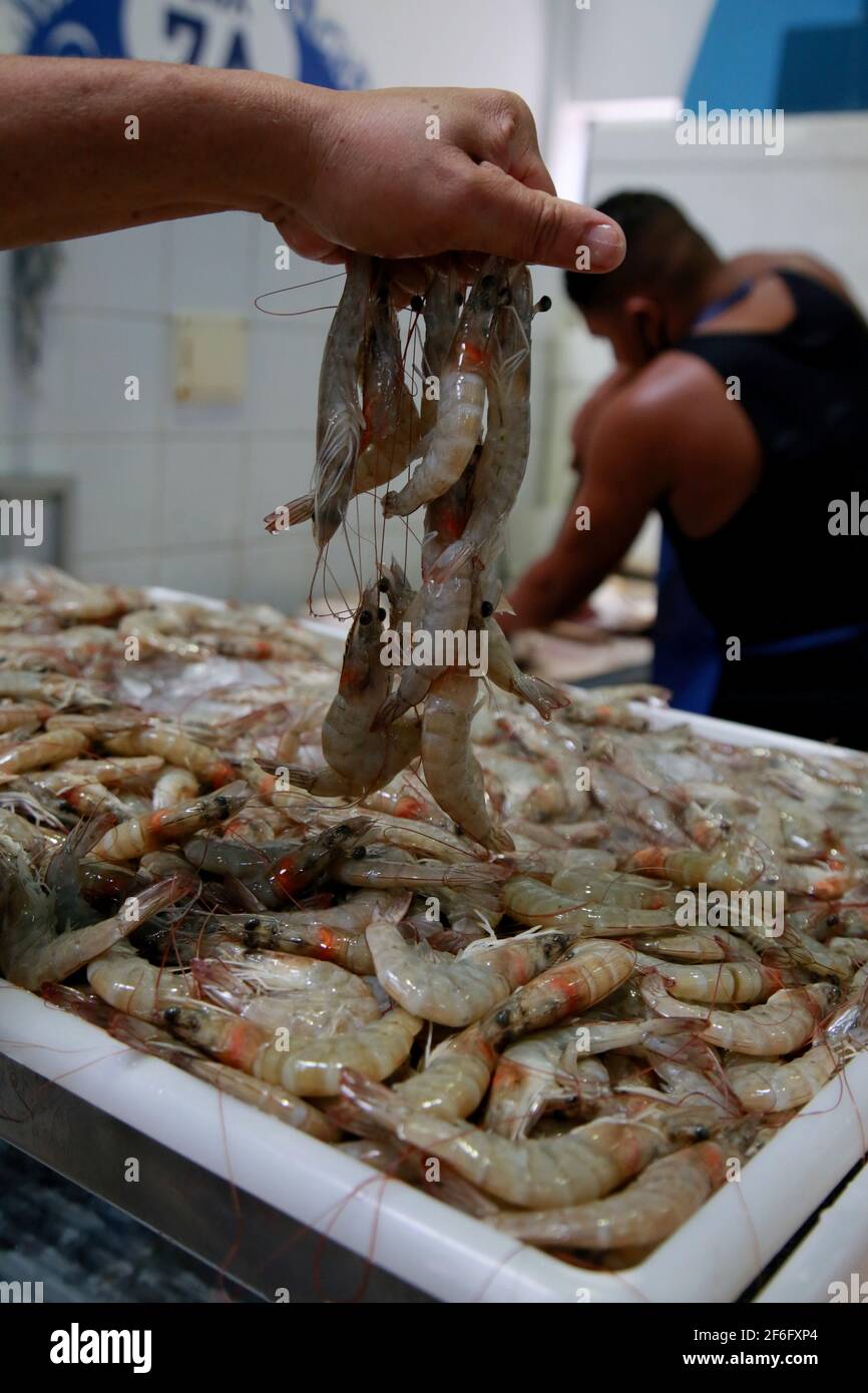 salvador, bahía, brasil - 11 de diciembre de 2020: Camarón marino en venta  en el mercado Popular agua de Meninos, en la ciudad de Salvador. *** Título  local *** Fotografía de stock - Alamy