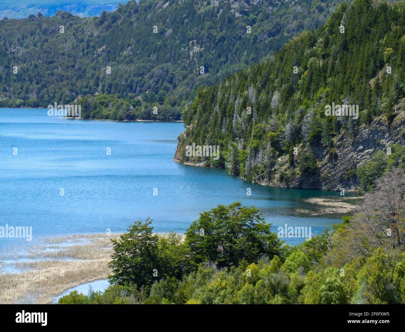 Hermosa vista al Lago verde en el Parque Nacional los Alerces de la patagonia, Argentina Foto de stock