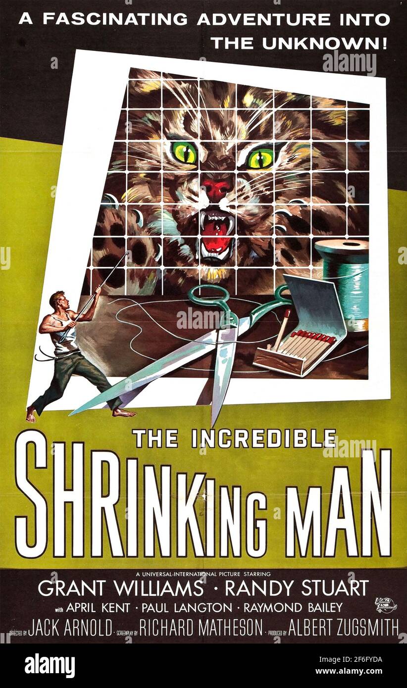 EL INCREÍBLE HOMBRE EN CONTRACCIÓN 1957 Universal Pictures película con Grant Williams. Cartel de Reynold Brown Foto de stock