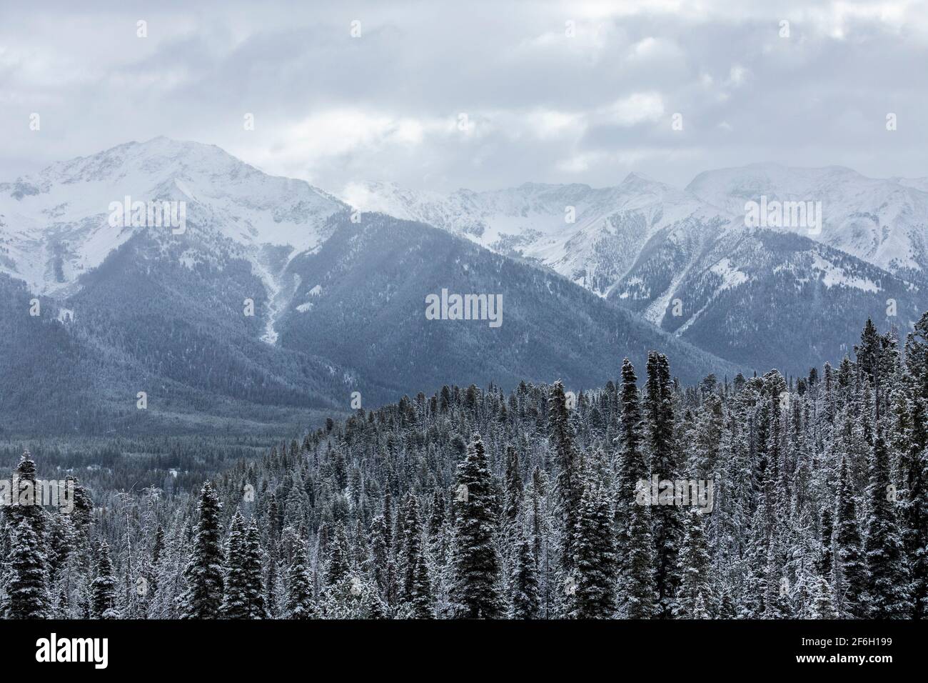Estados Unidos, Idaho, Sun Valley, Paisaje con montañas y bosques nevados  en invierno Fotografía de stock - Alamy