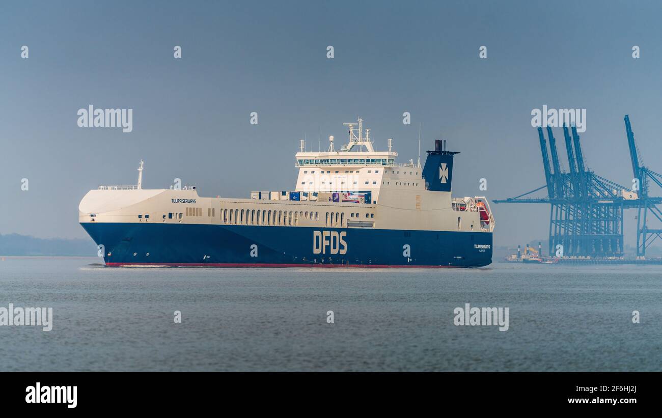 Reino Unido Comercio de la UE. DFDS Tulipa Seaways ro-ro cargo Ferry sale del puerto de Felixstowe hacia Rotterdam. El DFDS Tulipa Seaways fue construido en 2017. Foto de stock
