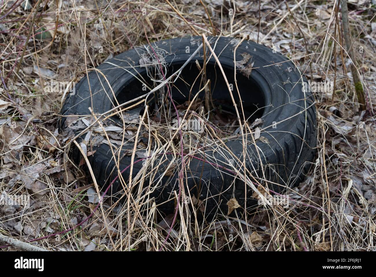 Increíble ignorancia humana de la contaminación de los neumáticos, la vida  silvestre del río. Neumáticos de coche en la naturaleza Fotografía de stock  - Alamy