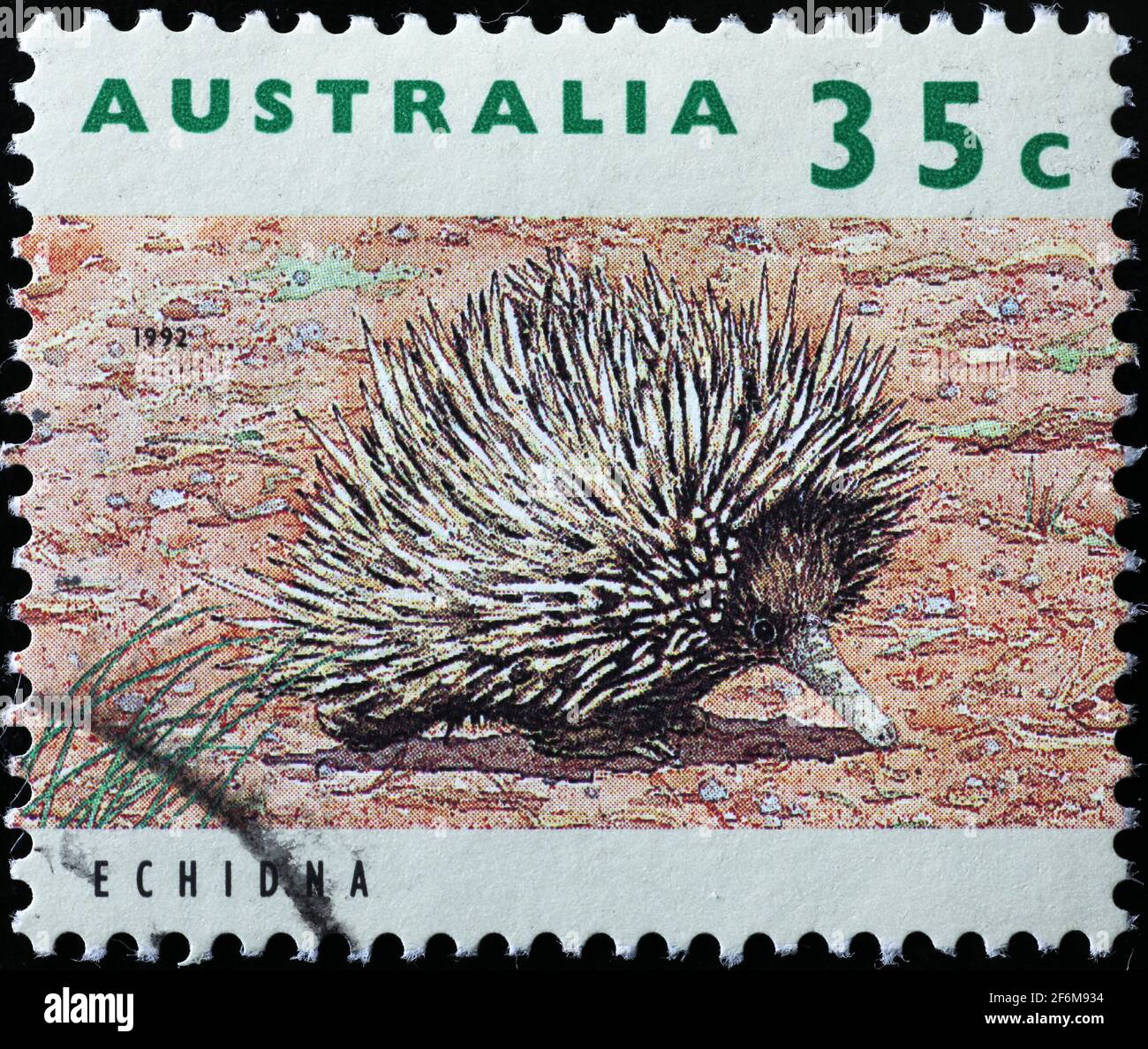 Echidna en sello postal australiano Foto de stock