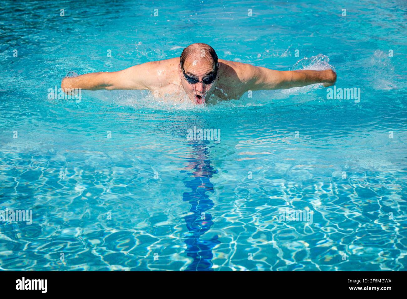 Hombre mayor nadando vueltas usando el accidente cerebrovascular de mariposa en una piscina de entrenamiento, Nápoles, Florida, EE.UU Foto de stock