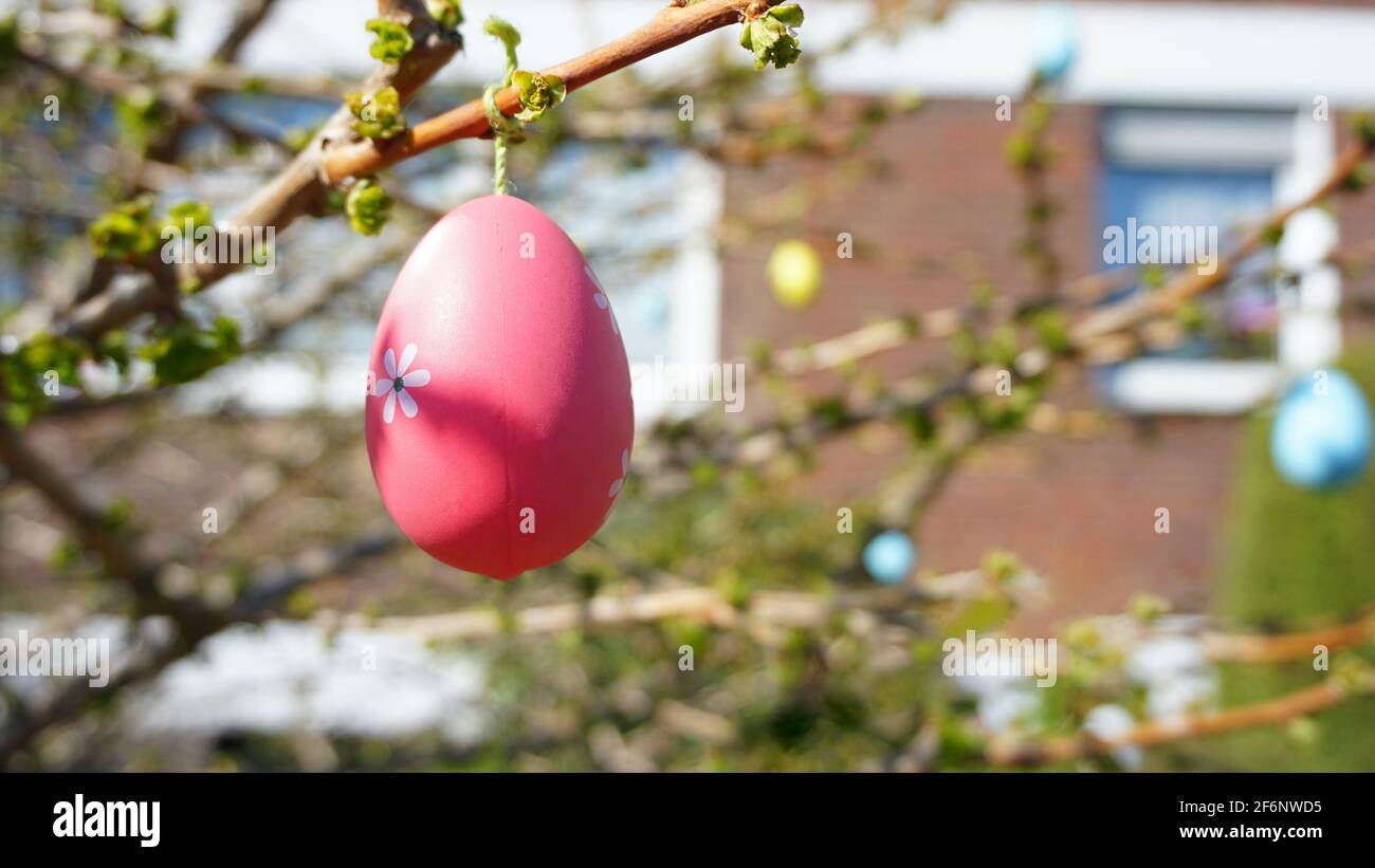 Coloridos huevos de pascua colgando ramas Foto de stock