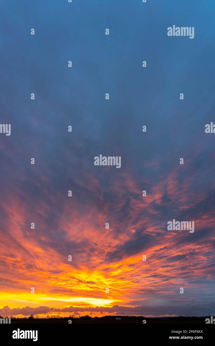 Cielo colorido al amanecer, primera luz en un día invernal en Kent. Horizonte plano bajo en el marco con la visualización de colores en el cielo por encima de antes de la salida del sol. Foto de stock