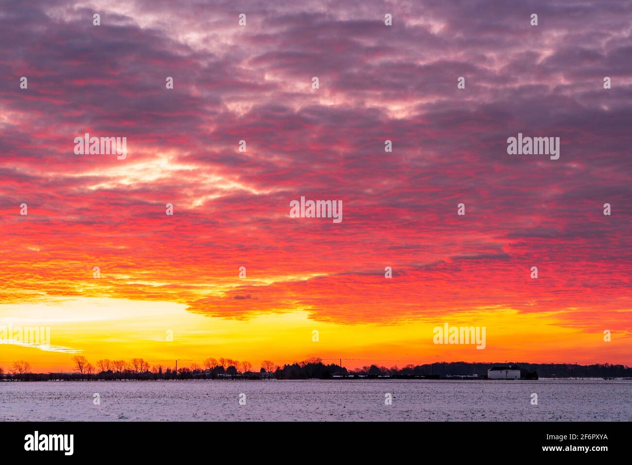 Dramático amarillo, rojo amanecer cielo sobre el campo cubierto de nieve con árboles, casa y hedgerow en el horizonte. Nubes iluminadas por el sol haciéndolas moteadas de rojo. Foto de stock