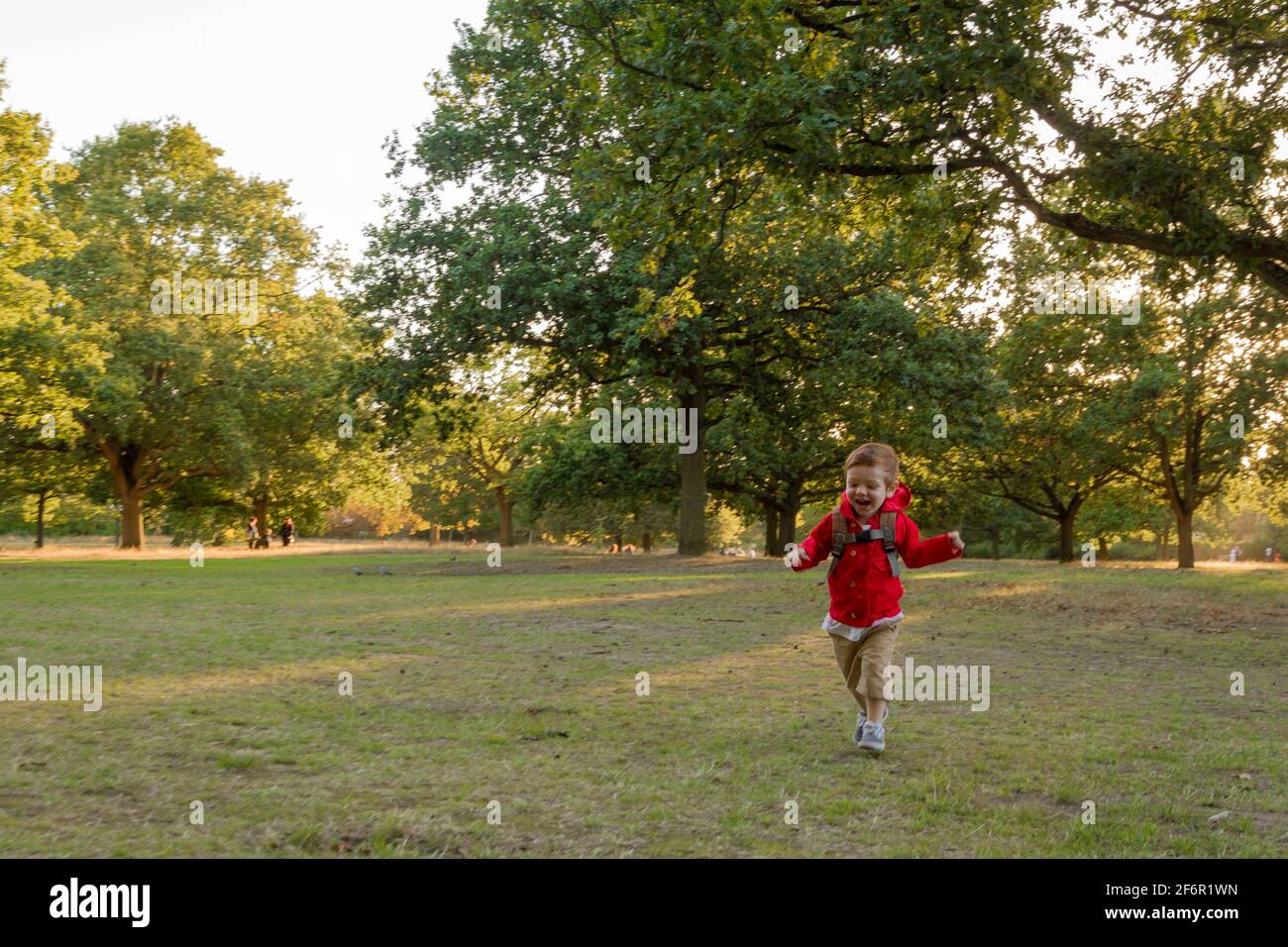 Un lindo, pelirrojo, niño con una chaqueta roja corriendo en un césped en un parque en una noche soleada Foto de stock