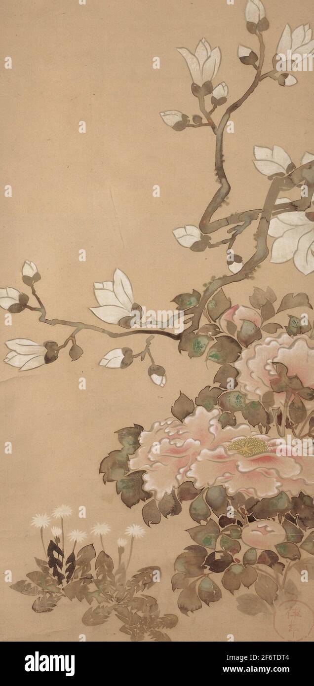 Autor: Tawaraya Statsu. Peonies, Magnolia, y Dandelions - Desconocido - Escuela de Tawaraya Statsu japonés, activo siglo 18th. Rollo colgante; tinta Foto de stock