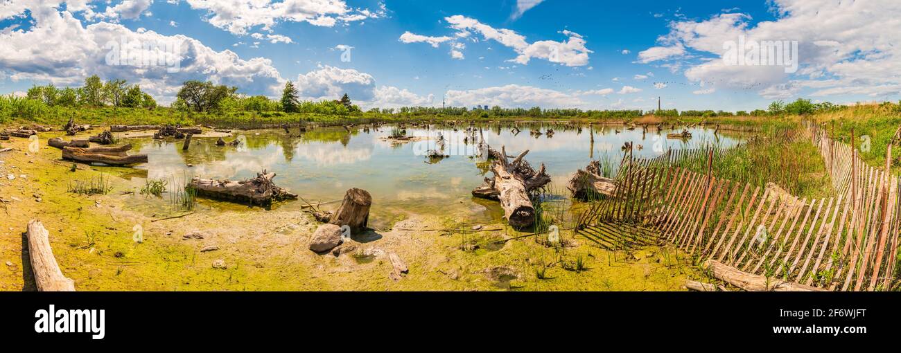 Los humedales canadiense Foto de stock