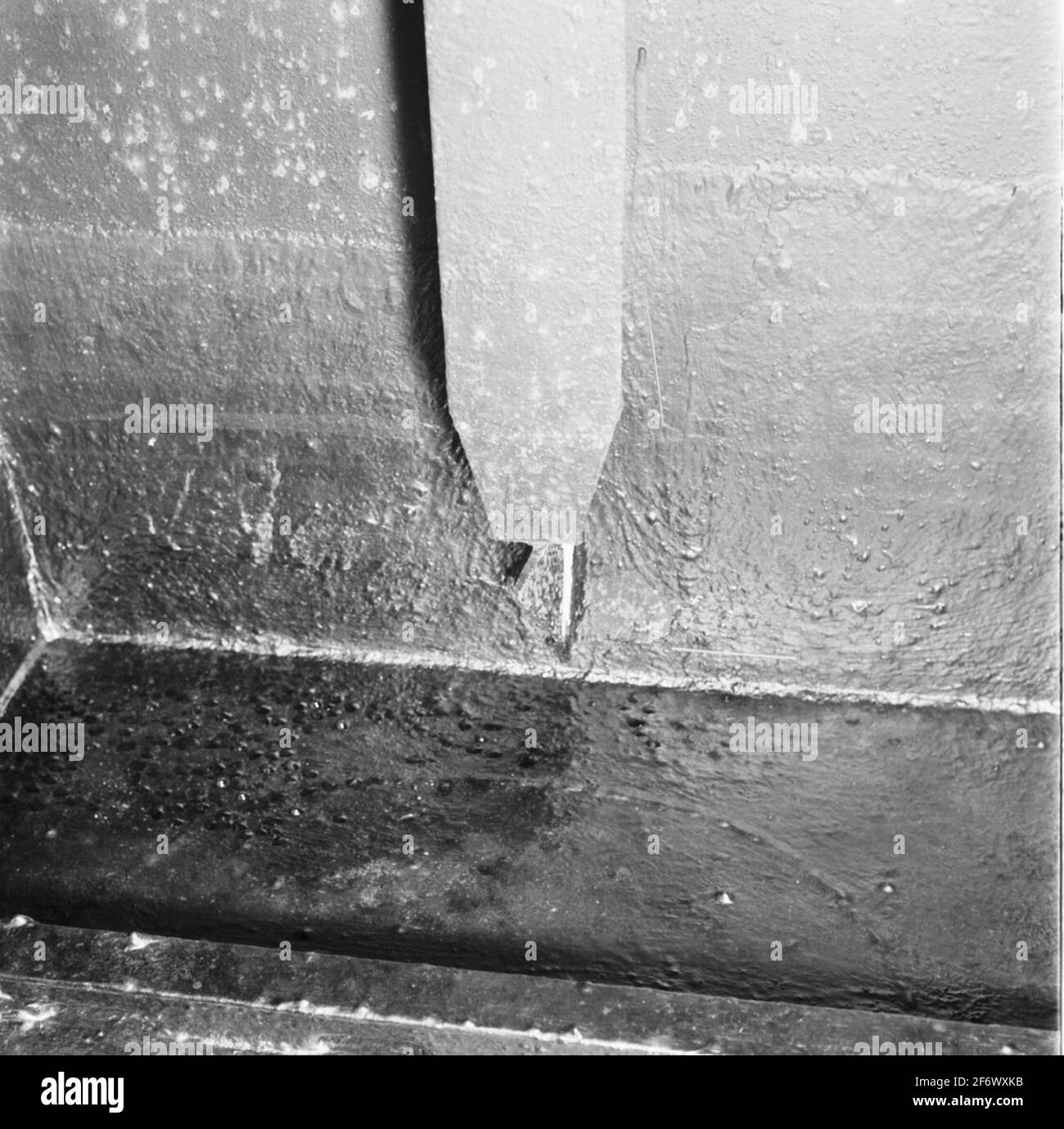 Tres coronas (representado nombre).tres coronas (representado