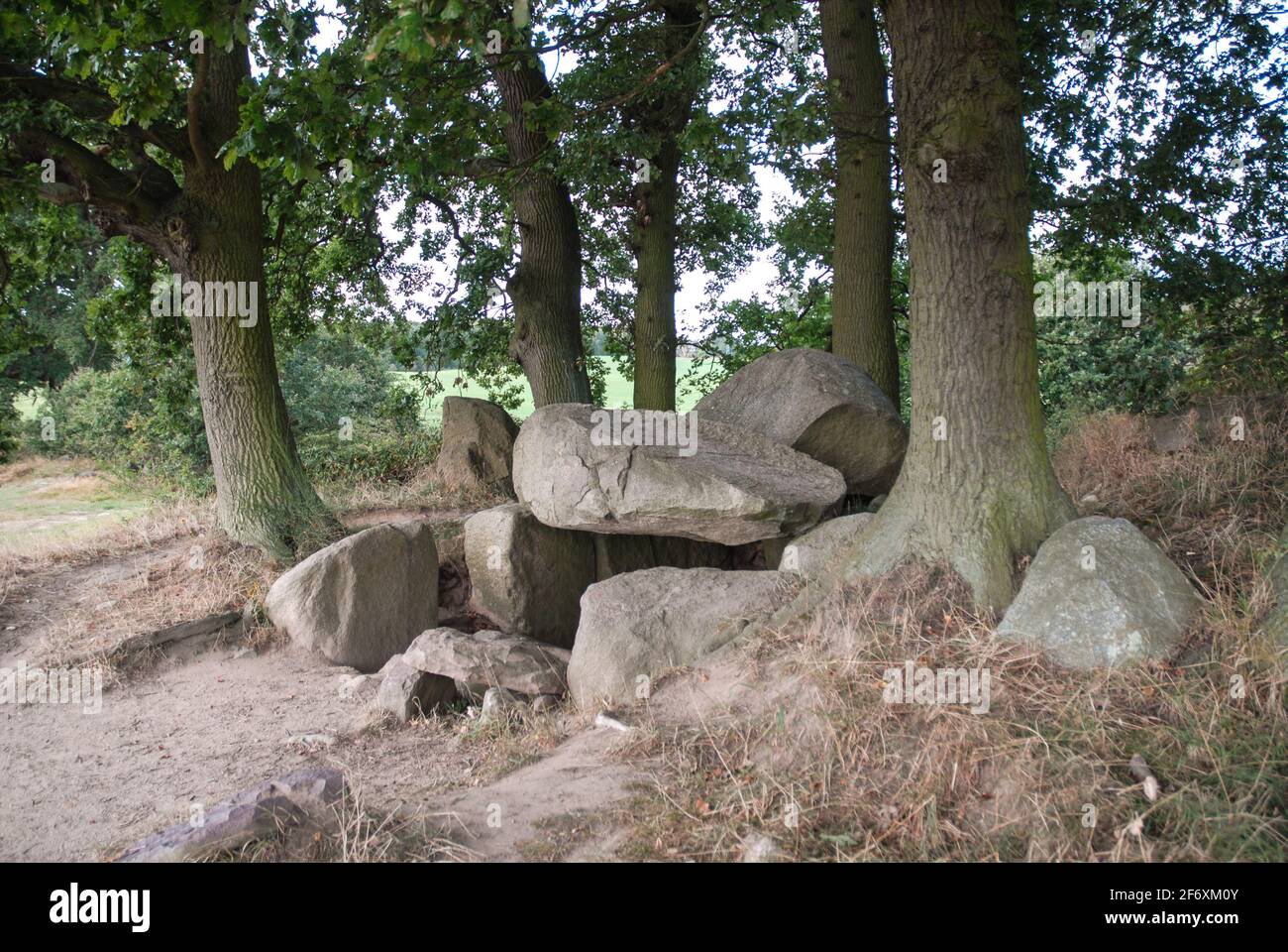 Die Großsteingräber bei Lanken-Granitz auf Rügen stammen aus der Jungsteinzeit - los dólmenes en Lanken-Granitz en la isla de Ruegen se remontan a. El Neolítico Foto de stock