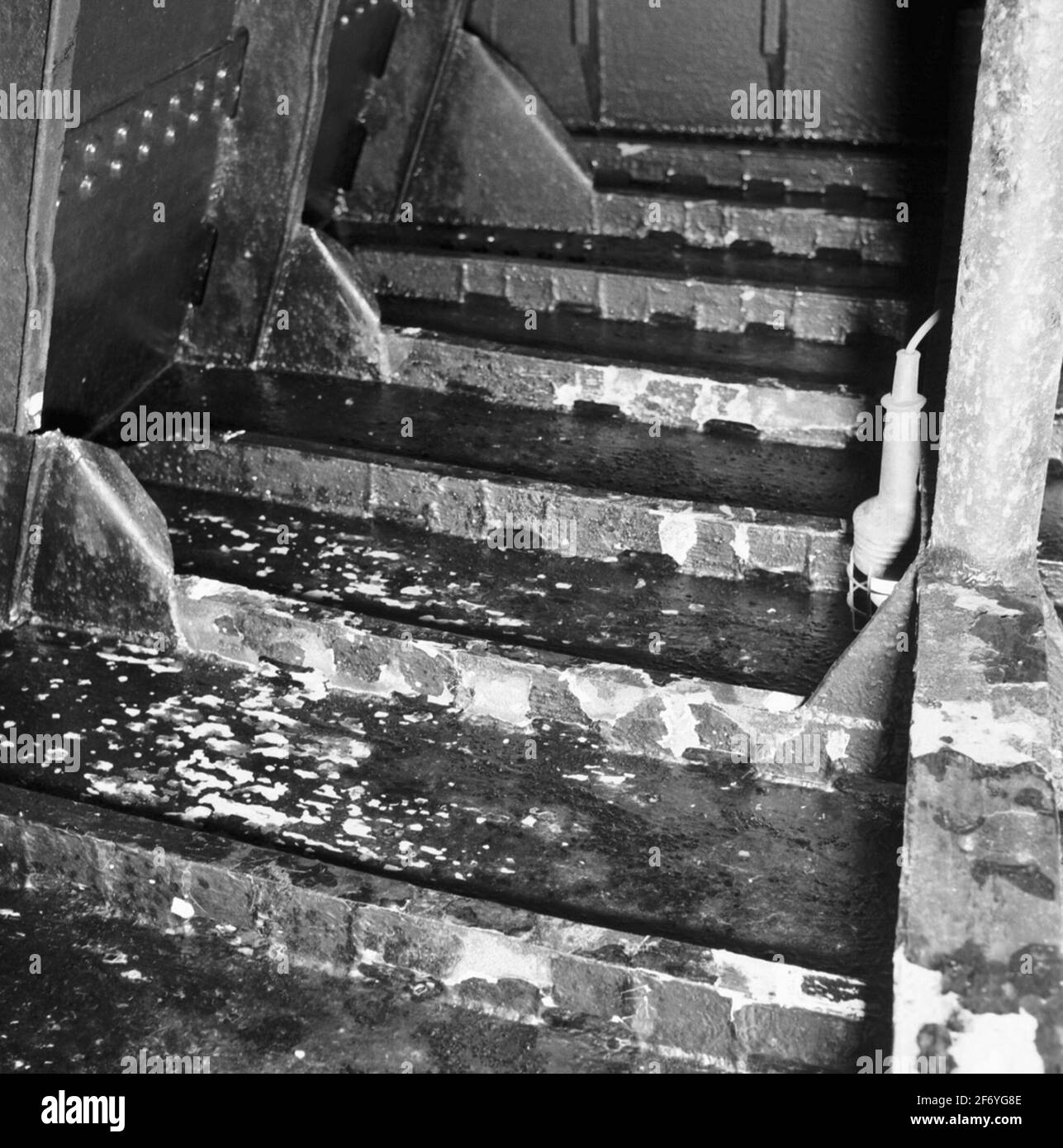 Tres coronas (representado nombre).tres coronas (representado