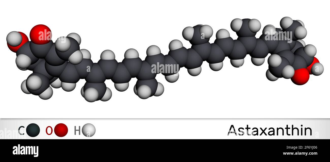 La astaxantina es un keto-carotenoide. Pertenece a la clase de terpenos químicos. Modelo molecular. 3D renderizado. 3D ilustración Foto de stock