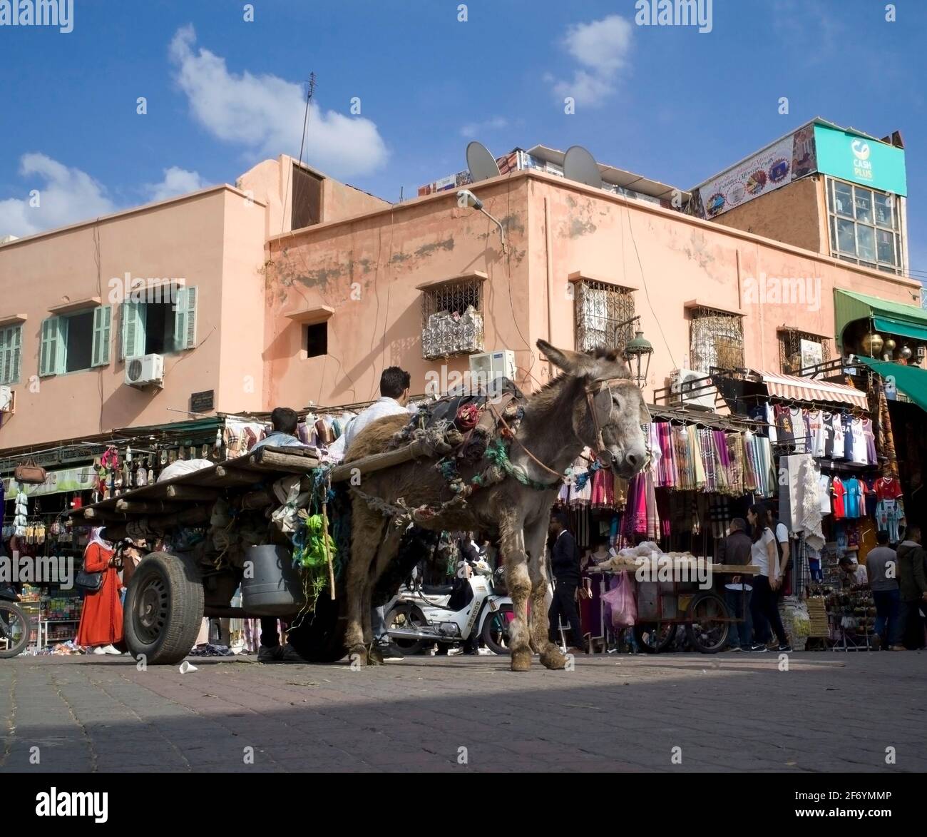 Marrakech Marruecos 2019 Burro y trampa Foto de stock