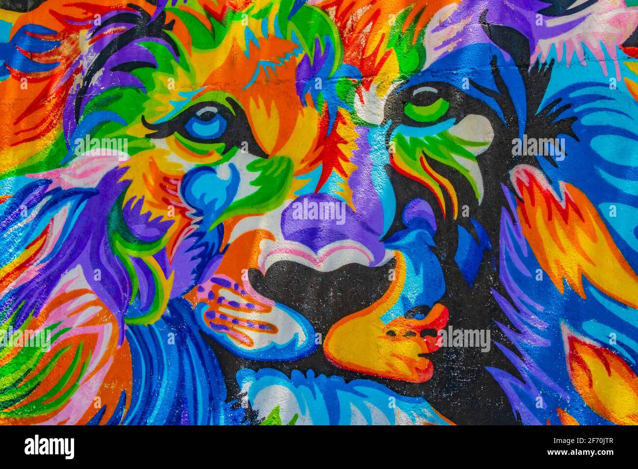 Paredes artísticas con coloridas pinturas de león y graffiti en Playa del  Carmen Quintana Roo México Fotografía de stock - Alamy