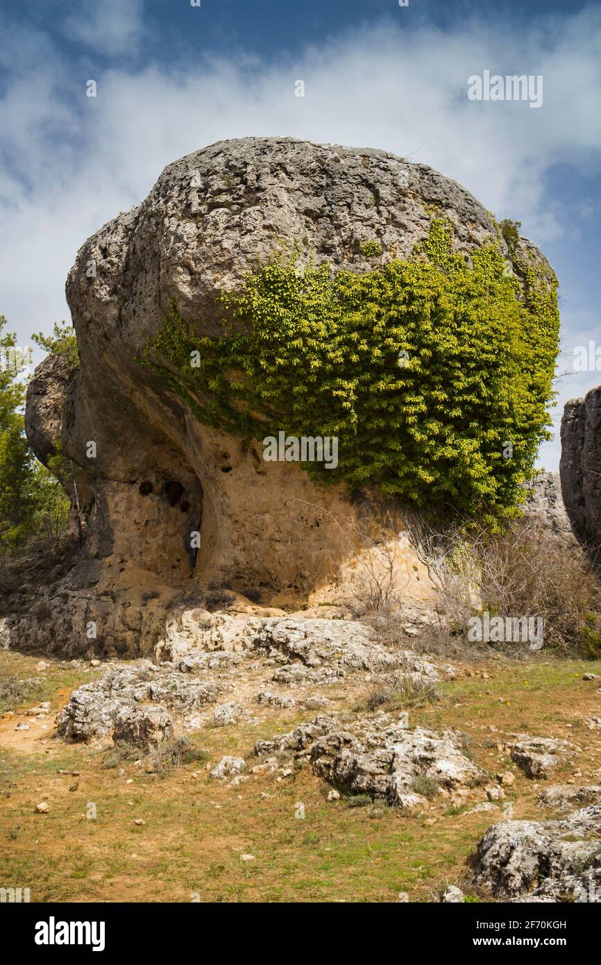 Las majadas fotografías e imágenes de alta resolución - Alamy