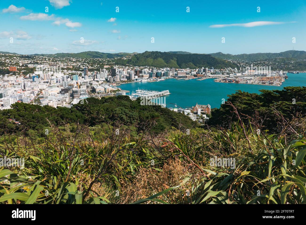 Wellington, la capital de Nueva Zelanda, en un buen día, visto desde el Monte Mirador Victoria Foto de stock