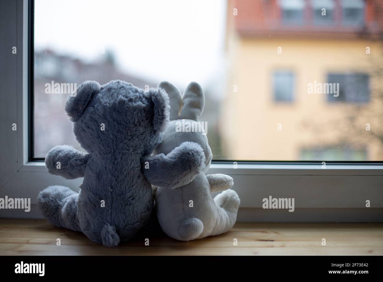 dos amigos de animales de peluche mirando por la ventana durante bloqueo de corona Foto de stock