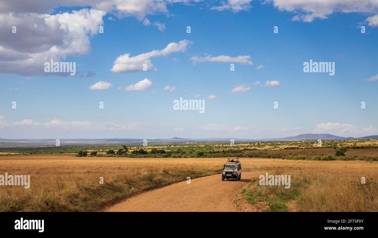 Un safari de la impulsión del juego en el desierto, Reserva de Masai Mara, Kenya Foto de stock