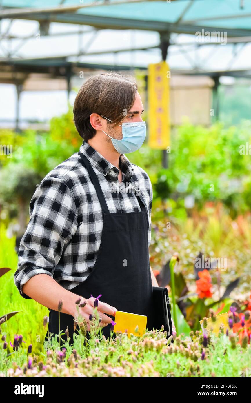 Joven hombre empleado con máscara quirúrgica, en un centro de jardinería:  Jardinería y nuevo concepto de seguridad Fotografía de stock - Alamy