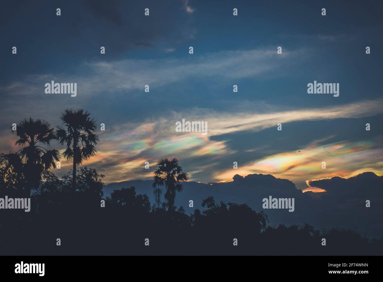 Una Mirada Rara A Una Nube De Iridescent Arco Iris De Fuego O Nubes Arcoiris Iridiscente Pileus Cloud Colorido Fenomeno Optico Cielo Fotografia De Stock Alamy
