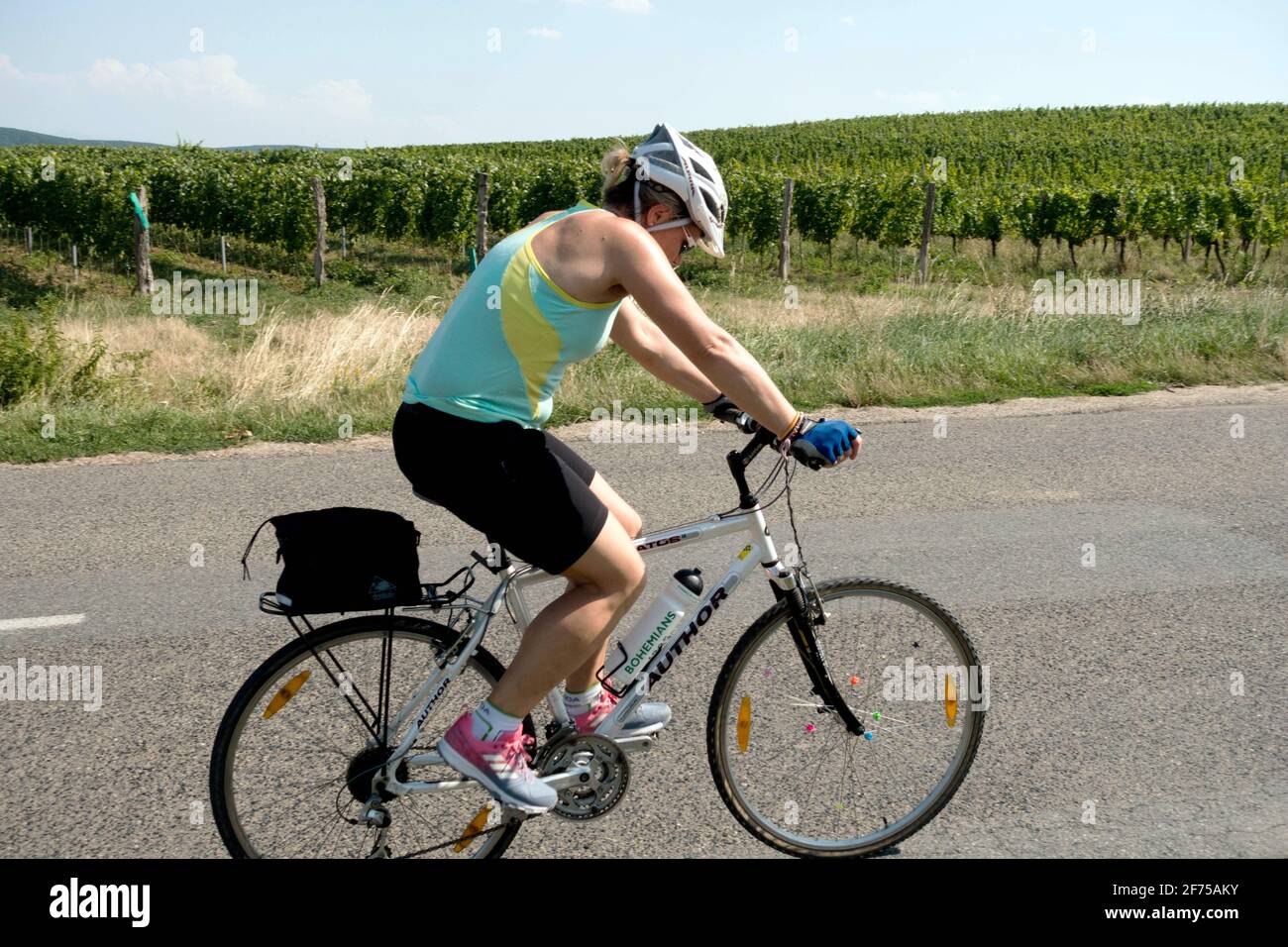 Mujer sola en bicicleta sola en la carretera viña sur Moravia Checa República Foto de stock