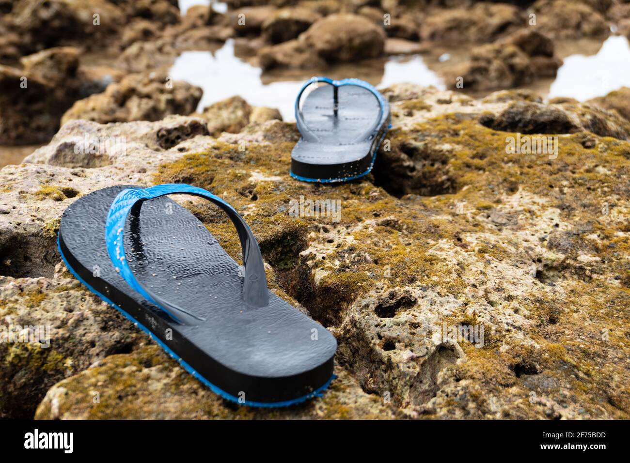 Un par de chanclas negras azules o zapatillas o calzado que se mueve por la isla durante las vacaciones Fotografía de stock - Alamy