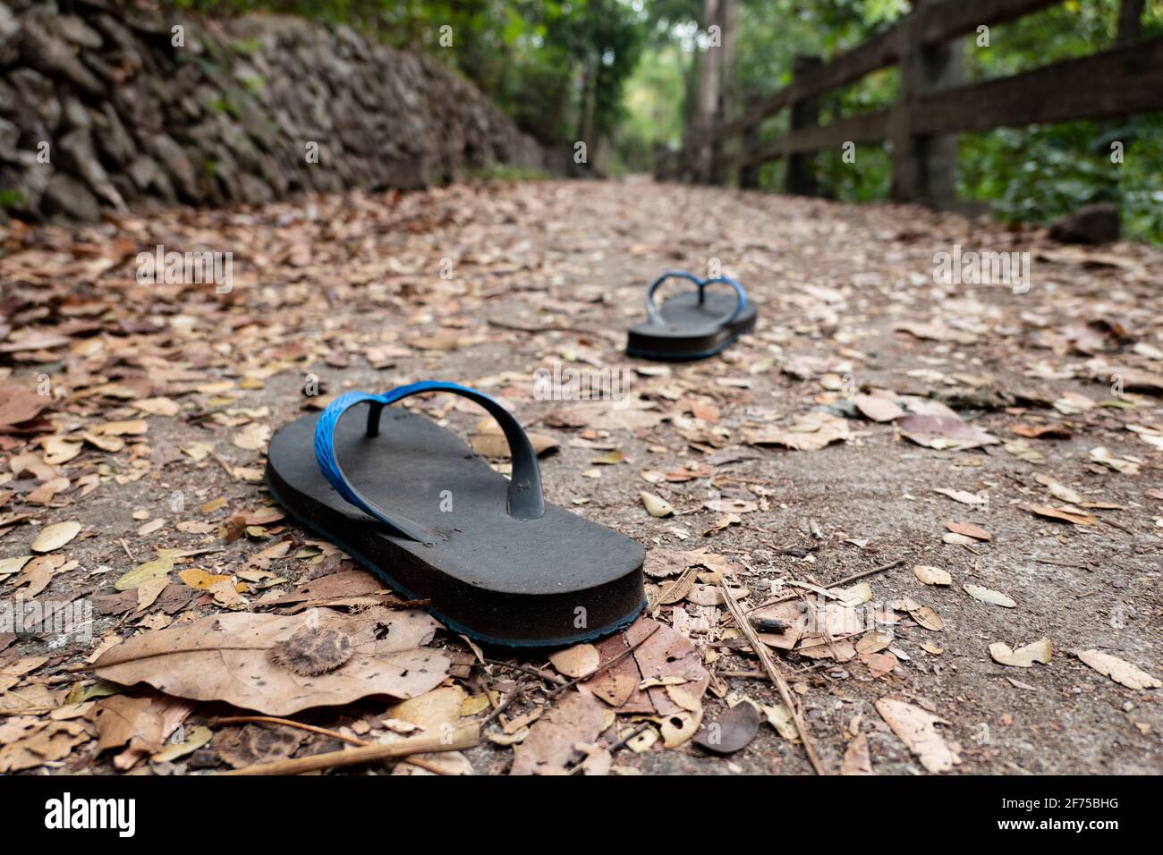 Un par de chanclas negras azules o zapatillas o calzado que se mueve por la isla durante las vacaciones Fotografía de stock - Alamy