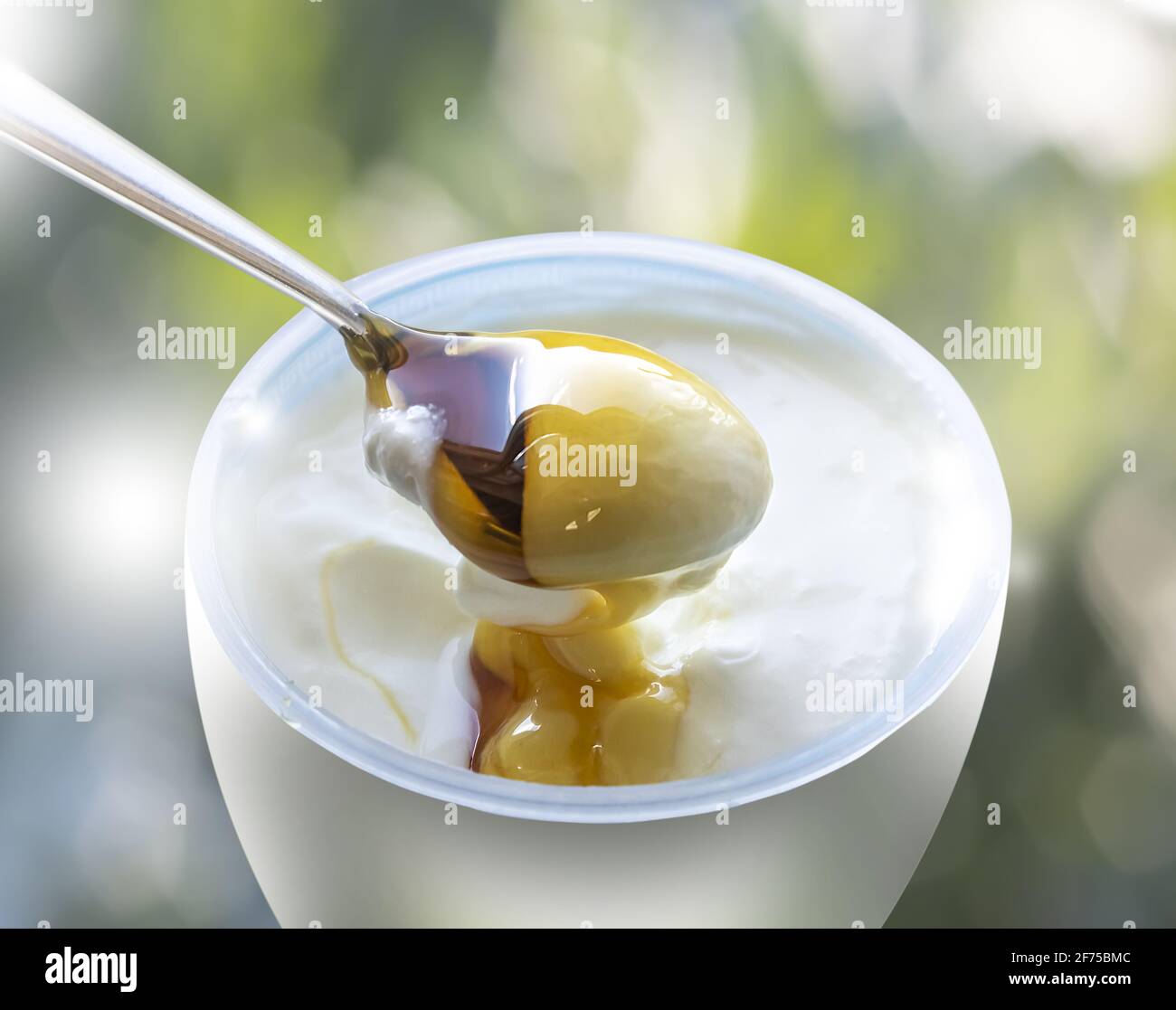 Foto para Publicidad : yogur griego con cuchara llena de miel invitando a comer sobre fondo bokeh borroso. Espacio de copia. Foto de stock