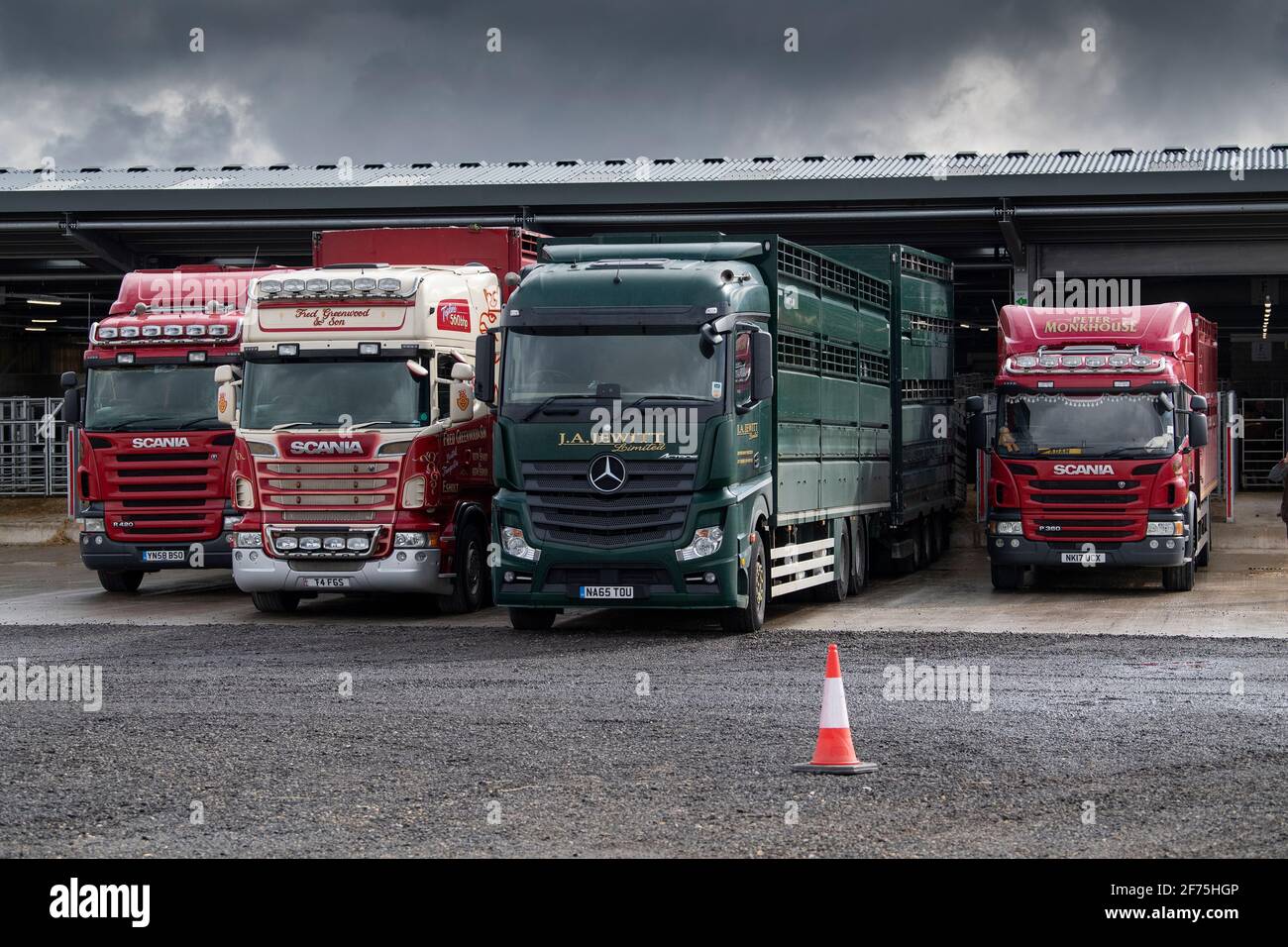 Vagones de transporte de ganado estacionados en un mercado de subastas, Darlington, Reino Unido Foto de stock