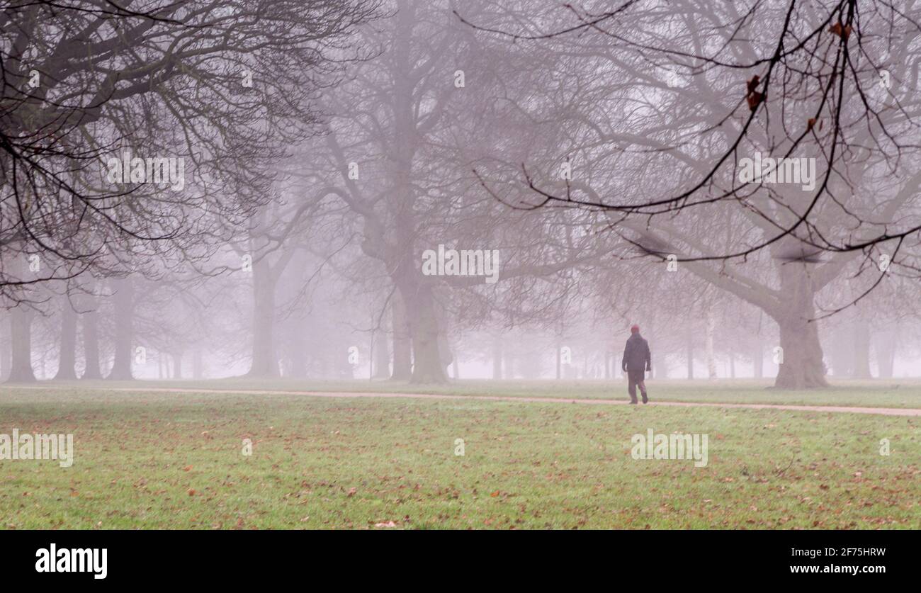 Tiro ancho de un hombre caminando en un parque en un día de niebla Foto de stock