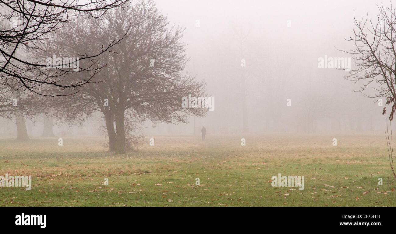 Tiro ancho de un hombre caminando en un parque en un día de niebla Foto de stock