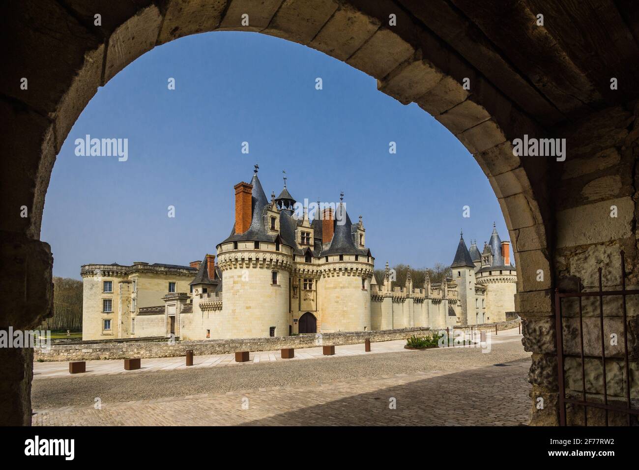 15C Chateau de Dissay, Vienne (86), Francia. Foto de stock