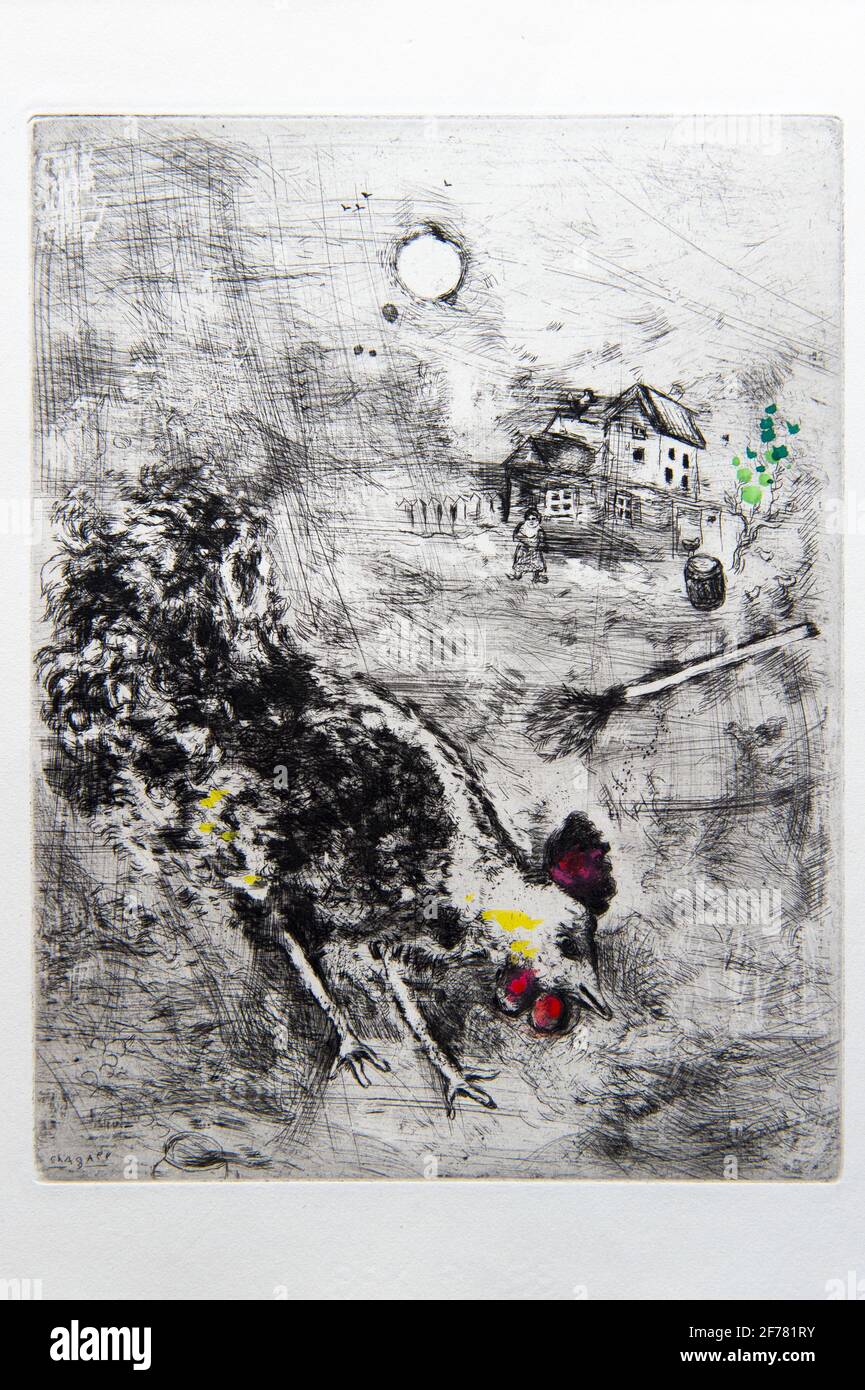 Francia, Aisne, Château-Thierry, Jean de La Fontaine Museum - ciudad de Chateau-Thierry, ilustraciones de La Fontaine's Fables, The Rooster y The Pearl Fable XX del libro I, grabados por Marc Chagall, 1927-1930 (grabado de cobre), publicado por Tériade en 1952, grabado sobre papel de la paloma, realzado con gouache y acuarela Foto de stock