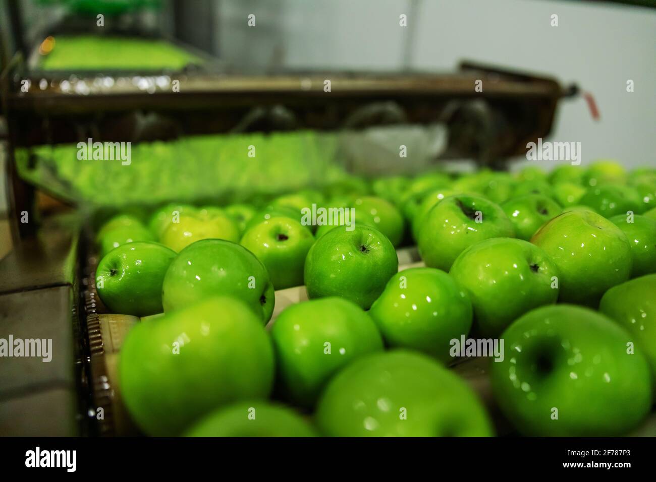 Manzanas deliciosas verdes en la línea de embalaje en el almacén de frutas.  Industria alimentaria Fotografía de stock - Alamy