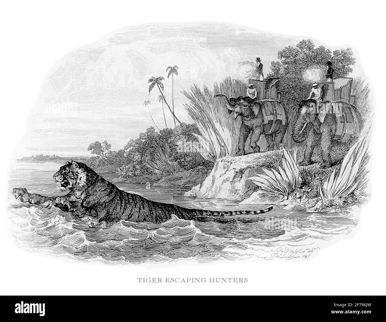 Cazadores de escapes de tigre grabados Ilustración stoc Foto de stock