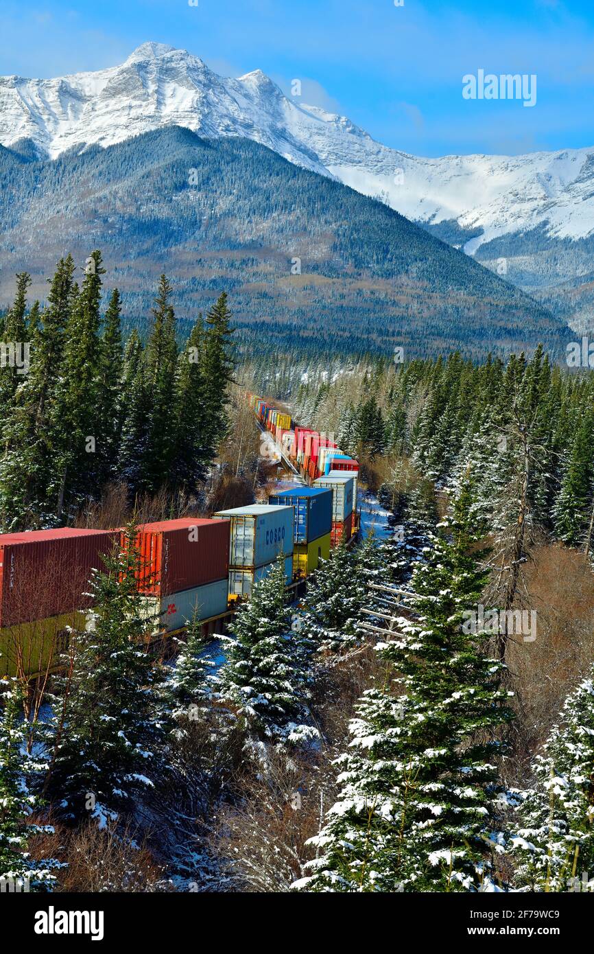 Un tren de carga nacional canadiense cargado con contenedores viaja alrededor de una esquina en una zona boscosa de las montañas rocosas de Alberta Canadá. Foto de stock